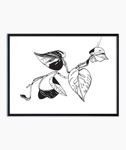BLACK AND WHITE BLOOM_01